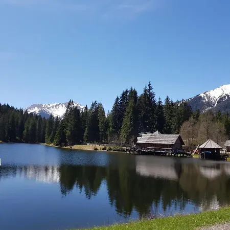 Milena-huette 度假居 *